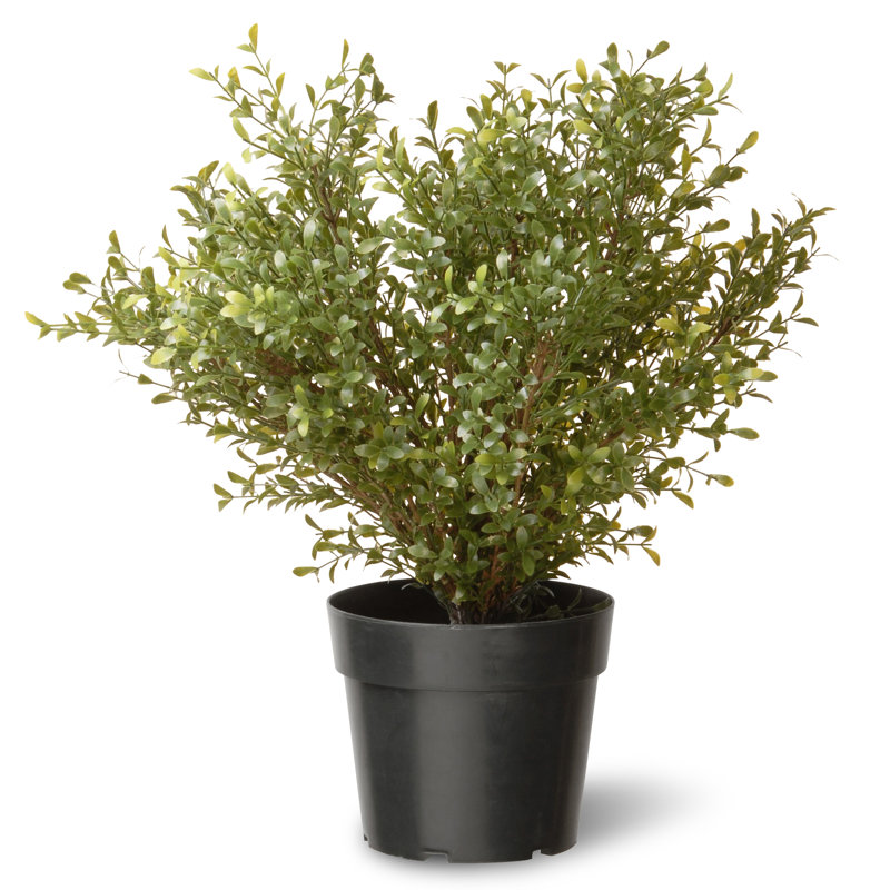 48'' Faux Argentea Tree in Pot, 25" H x 10" W x 10" D