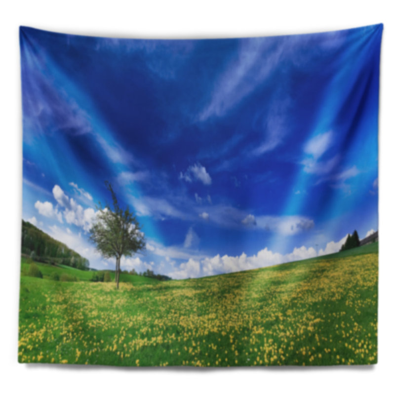 Tapisserie de champs spring landscape, H 50 po x l 60 po