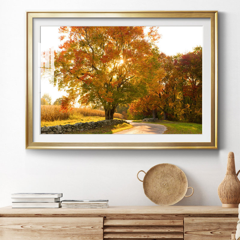 Maple Tree Drive - Single Picture Frame Photograph, Gold Framed, 26.5" H x 36.5" W x 1.5" D