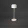 Lille Mini Cordless Table Lamp - USB Rechargeable, Dimmable LED, Elegant Design