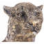 Animals Figurines & Sculptures