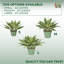 Plante grasse artificielle en pot-1152137814
