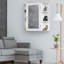 Amoriel Surface Framed Mirrored Bathroom Cabinets with Mirror-1245262994