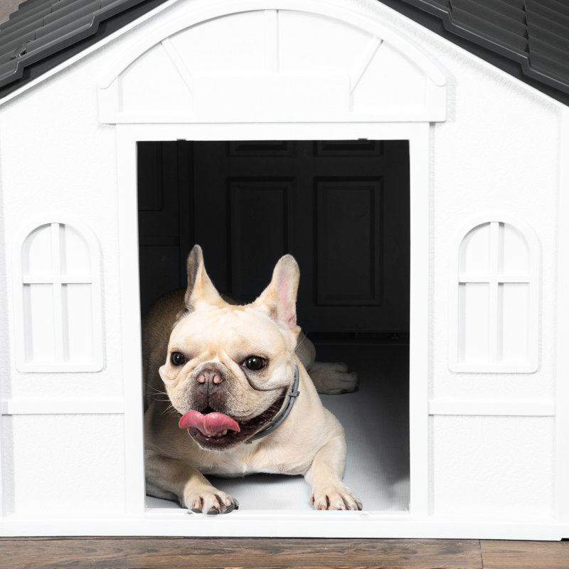 Niche moyenne pour chien - gris, imperméable, fonction de ventilation, abri mignon, facile à assembler à l'intérieur et à l'extérieur