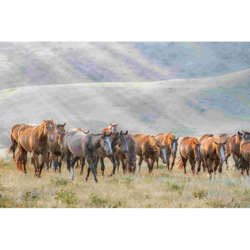 Chevaux en soleil III, H 8 po x l 12 po