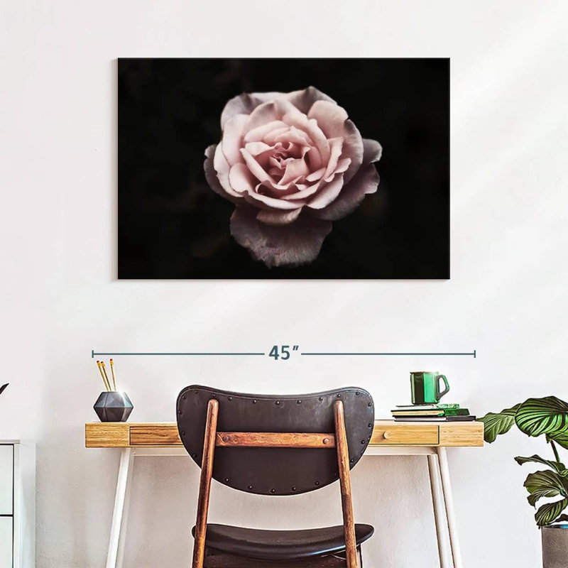 Harnek Pink Carnation Rose