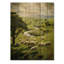 «Pastoral Bliss Sheep Landscape I», reproduction sur bois-290504593
