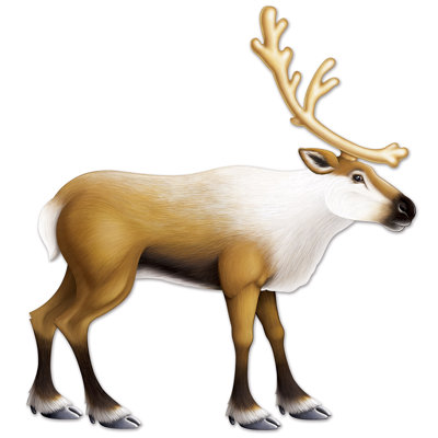 Christmas Jointed Reindeer