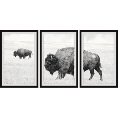 Anyan Keep Moving - 3 Piece Single Picture Frame Print