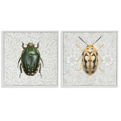 Beetle Insect Portrait 2 PC Giclee Art Set by Danhui Nai