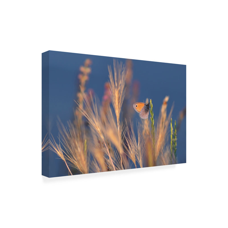 Art sur toile «Butterfly Dragana Trajkovic», H 12 po x l 19 po