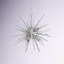 Lustre géométrique unique à 6 lumières Jazmin-2001015382