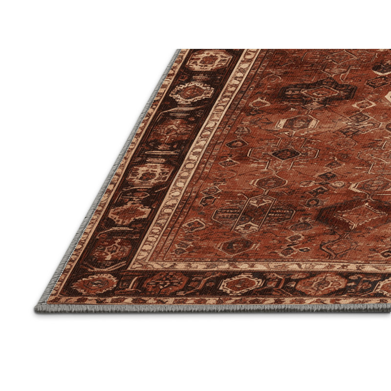 Tapis brun lavable à la machine, Rectangle 5 pi x 7 pi