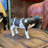 Baby Holstein Cow Table Top Statue