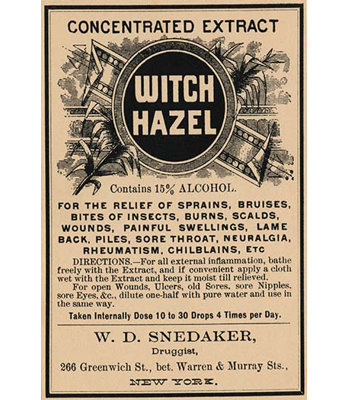 " Witch Hazel "