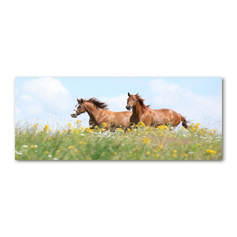 Two Horses At A Gallop - Wrapped Canvas Print