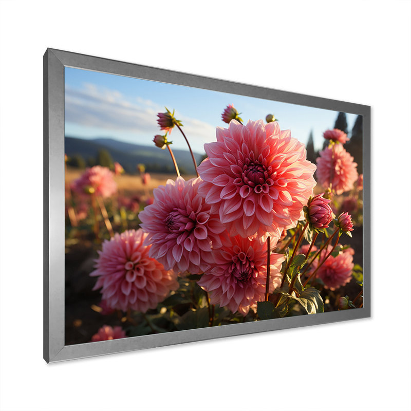 Dahlia Field Sunrise II - impressions murales florales, Cadre simple argenté, H 16 po x l 32 po x P 1 po