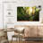 Harnek Big Old Broceliande Beech Tree-107697495