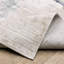 Tapis ivoire / bleu Goulart-264435435