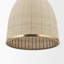 Luminaire suspendu conique à 1 lumière Ridgeview
