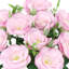 Lisianthus artificiel-1488710568