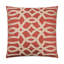 Neron Pillow Cover & Insert-33066597-114598747