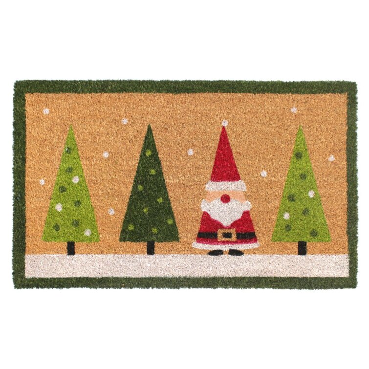 18" X 30" Non-Slip Indoor Outdoor Doormat