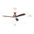 Ridley 60'' Ceiling Fan with LED Lights-82941947
