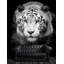 Panneau mural Tiger-235047940