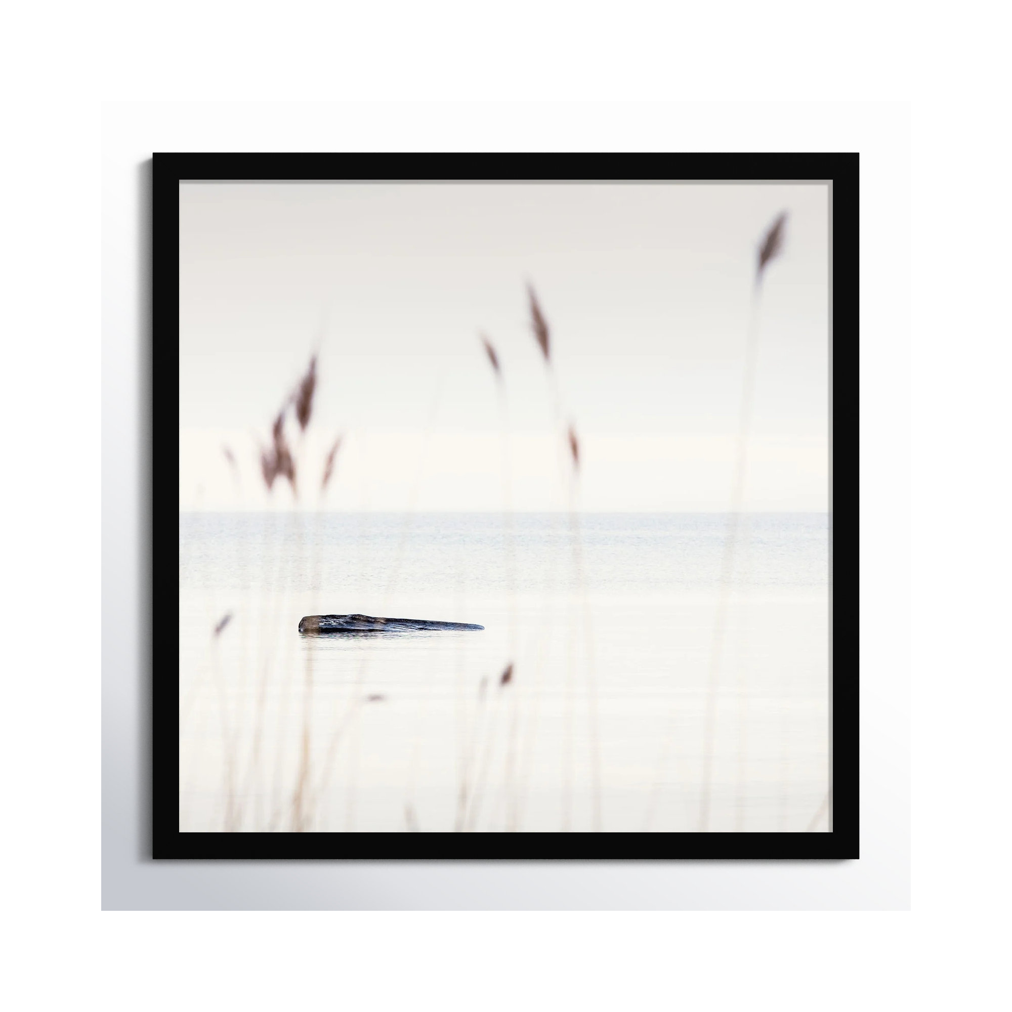 Georgian Bay Shore by Peter Dušek, 36" H x 36" W x 1.25" D, Black