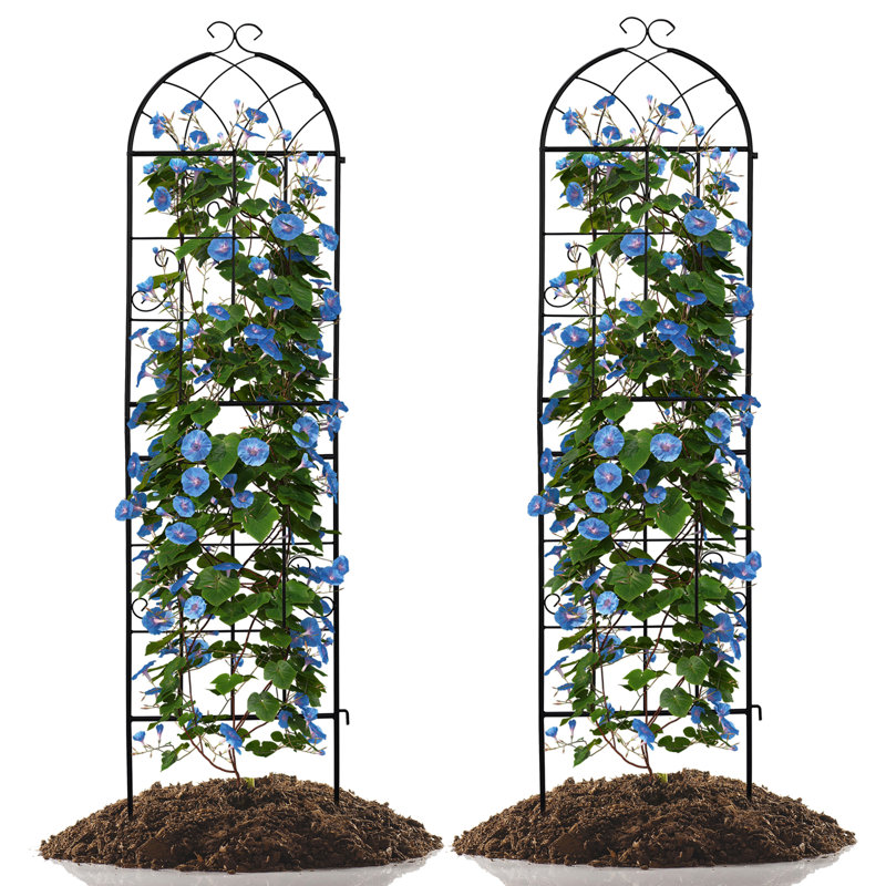 Ensemble de 2 treillis de jardin en fer antirouille 16 po x 61 po