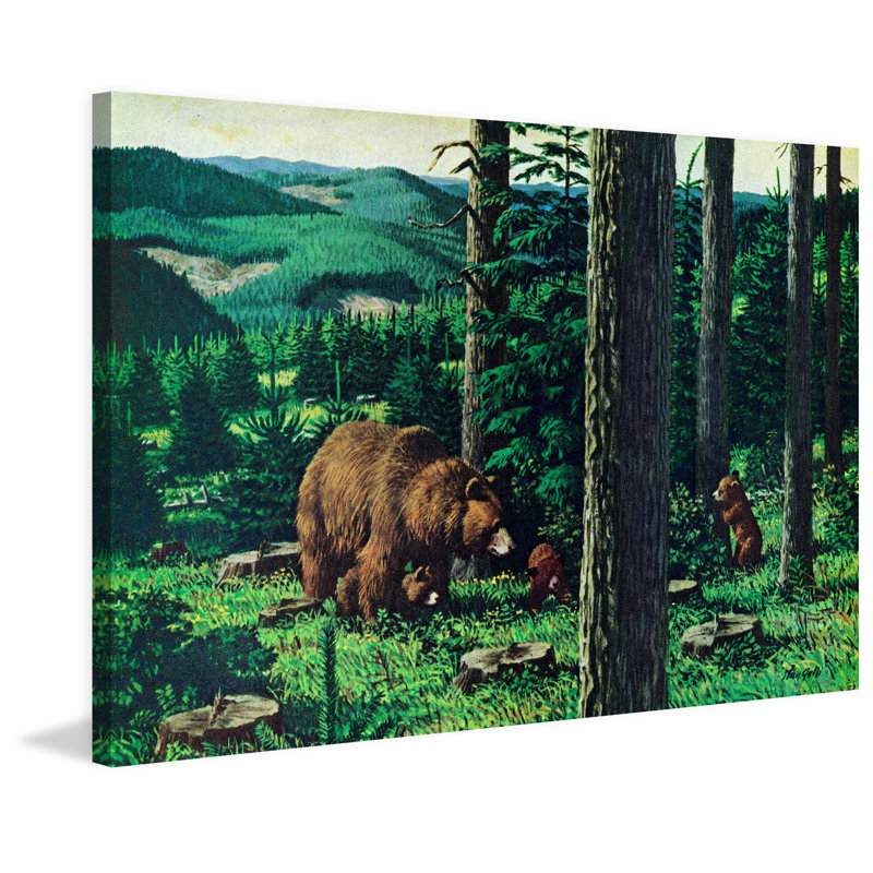 Mama And Cubs - Wrapped Canvas Print, 41cm H x 61cm W x 3.81cm D