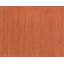 Sprouts Wool Area Rug in Orange-40705247
