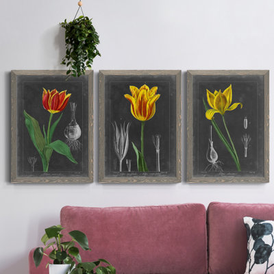 «Midnight Tulip IV», ensemble de 3 peintures sur toile encadrées