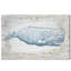Baleine bleue - impression sur toile tendue-75287269-22168390-120017864