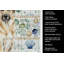 Torchon Anatolian-1209194225