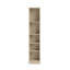 Krystah 203.2 cm H x 40.6 cm W Standard Bookcase
