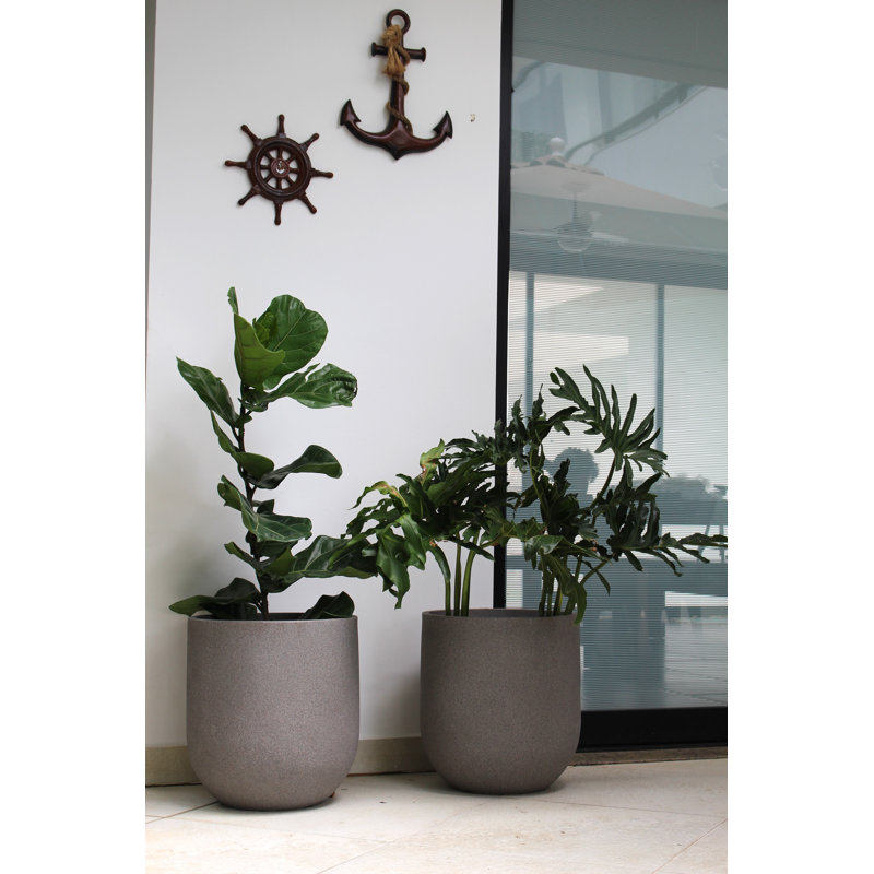 Pot de fleurs en plastique, H 13 po x l 11 po x P 11 po