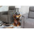 Lyneth Solid Wood End Table