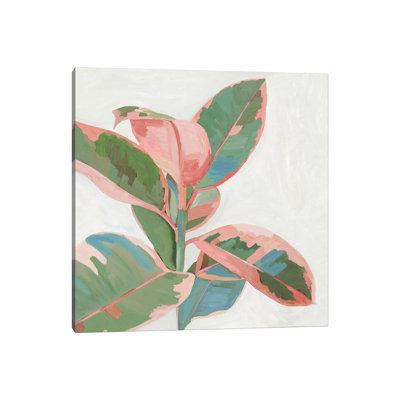 «Pink Ficus I» par Asia Jensen, reproduction d'art sur toile tendue