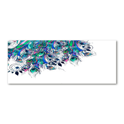 Peacock Feathers - Wrapped Canvas Print