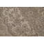 Distressed Wool Traditional Area Rug 6x9