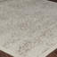 Oriental Area Rug-94448606