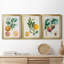 " Orange De Malte " 3 - Pieces-128133202-128133203