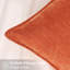 Ensemble de 2 housses de coussins décoratifs de Noël en velours de velours neutre en chenille de style européen pour canapé-lit-120933928-120933930