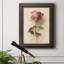 Painterly Rose Study I, toile encadrée de qualité supérieure - prête à être accrochée-1309438878
