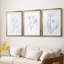 Milkweeds I - Impression personnalisée de qualité supérieure avec cadre - 3 pièces-707362106-707362110