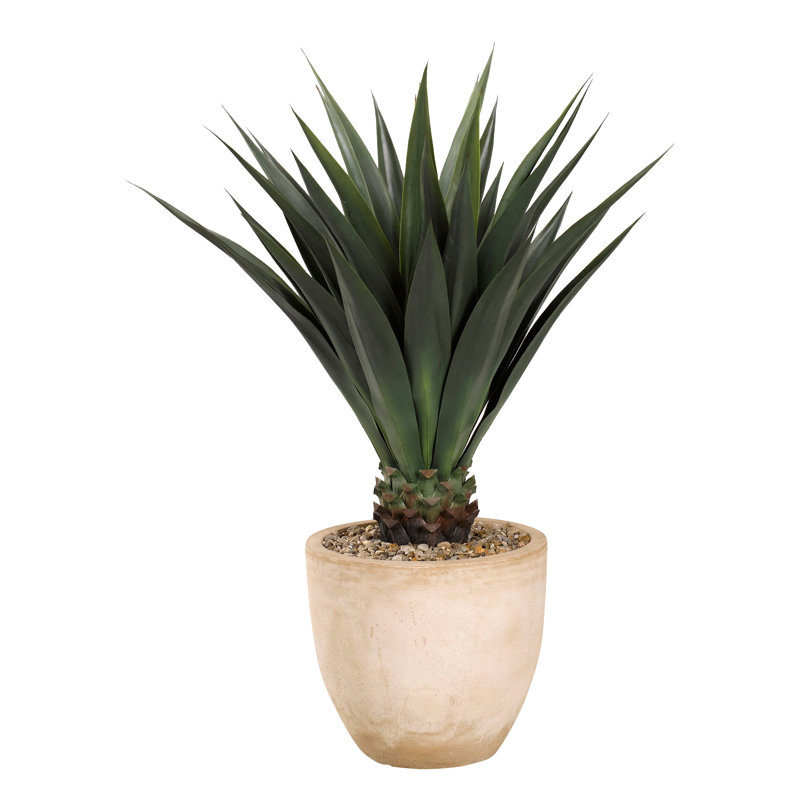 Pot à fleurs 48 po en agave