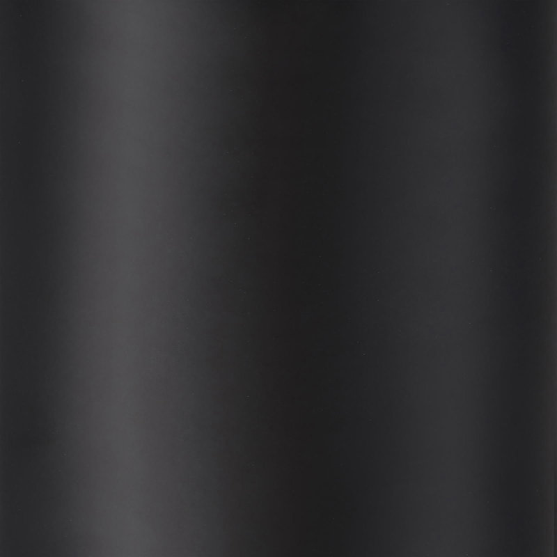 Black 12-Hook Coat Rack