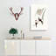 White Breasted Swallows by Elizabeth Gould - Wrapped Canvas-55305398